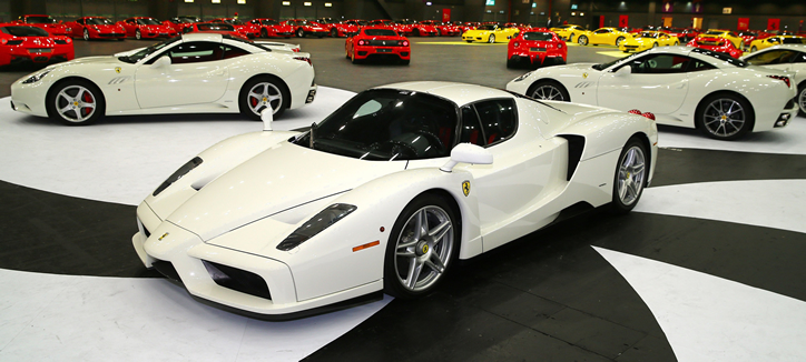 Ferrari Enzo in white